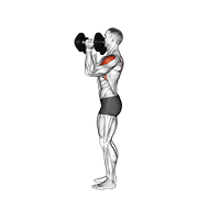 Standing dumbbell exercise